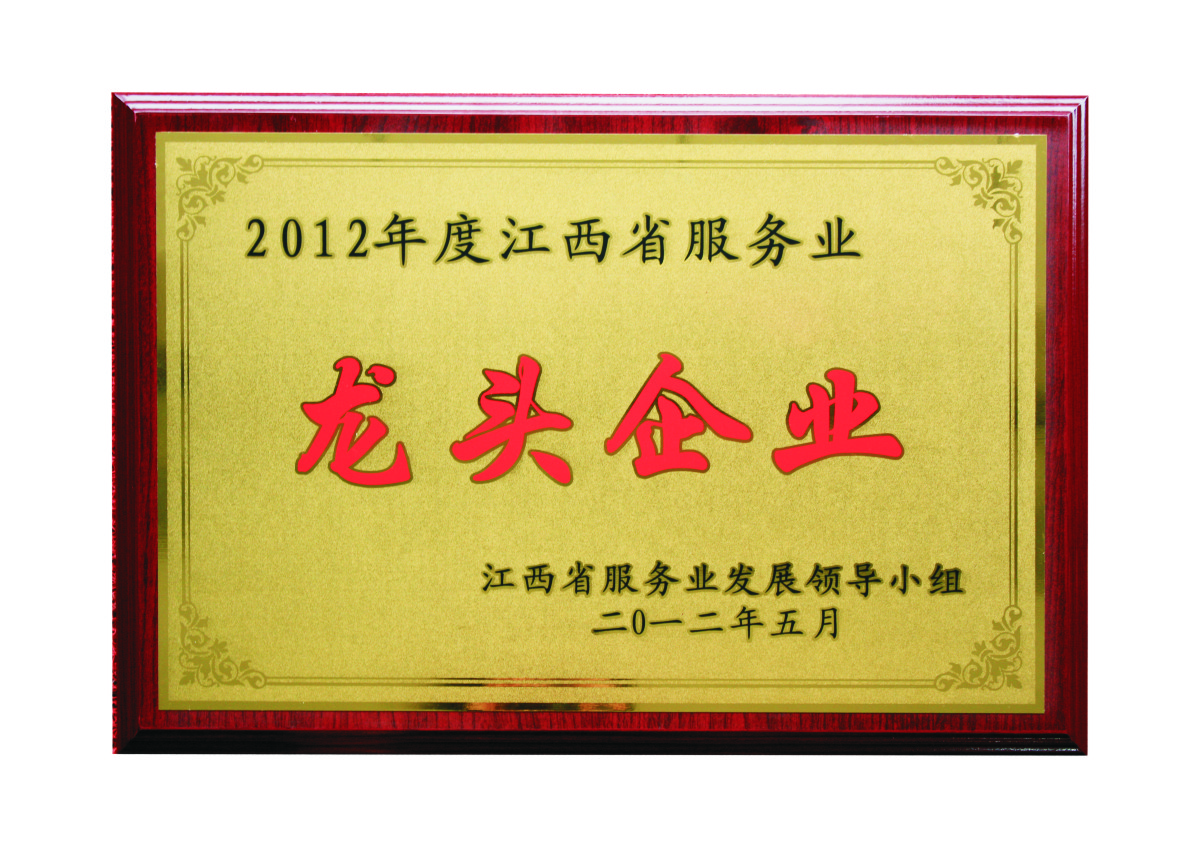 江西省服務(wù)業(yè)龍頭企業(yè)